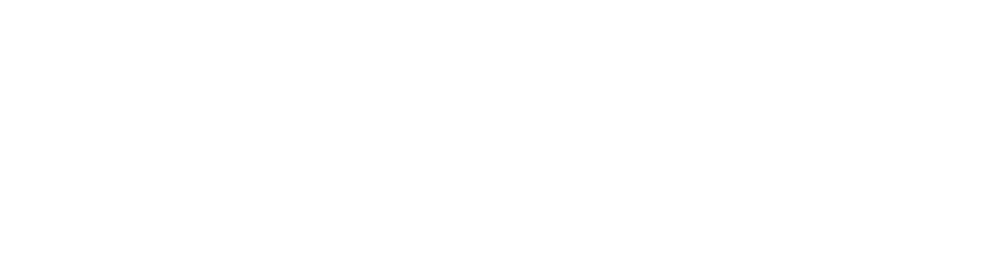 Fat Fish Bikes